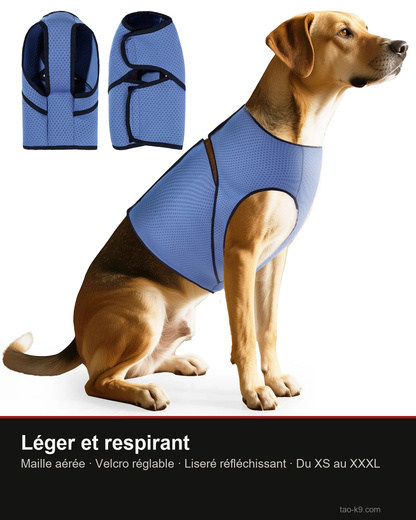 Gilet anti-anxiété chien : léger, respirant, velcro réglable, réfléchissant, XS à XXXL