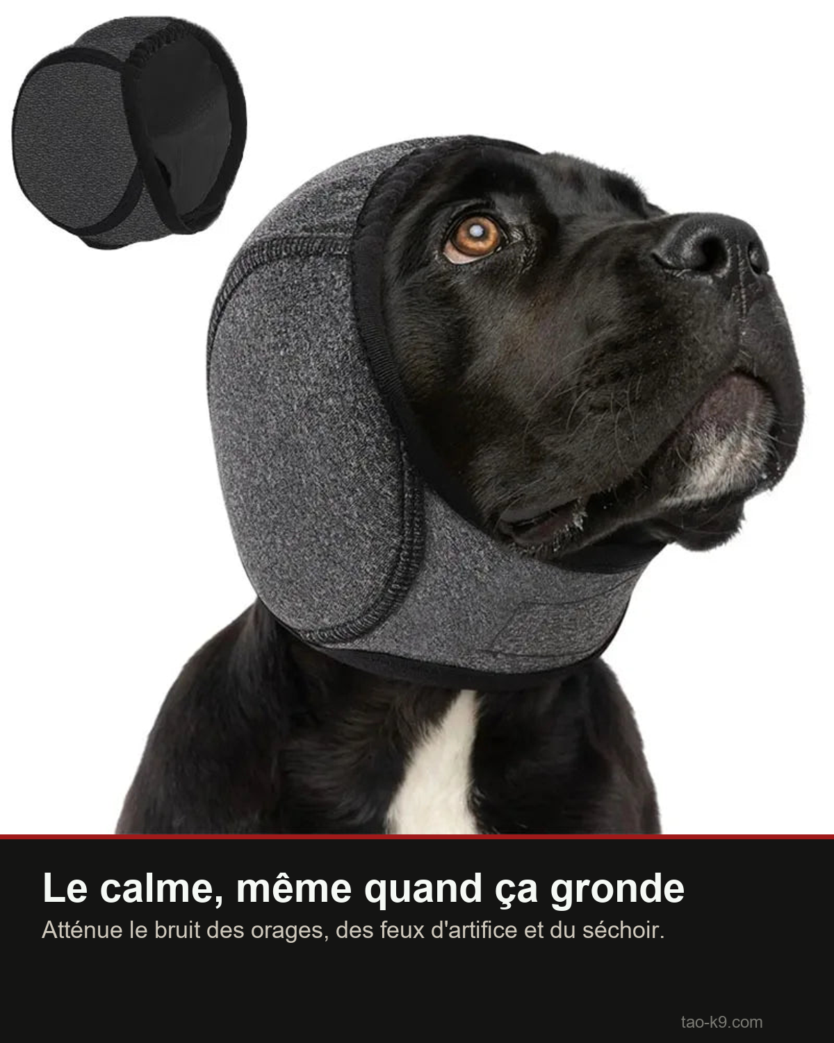 Cache-oreilles antibruit pour chien : calme pendant les orages et feux d'artifice