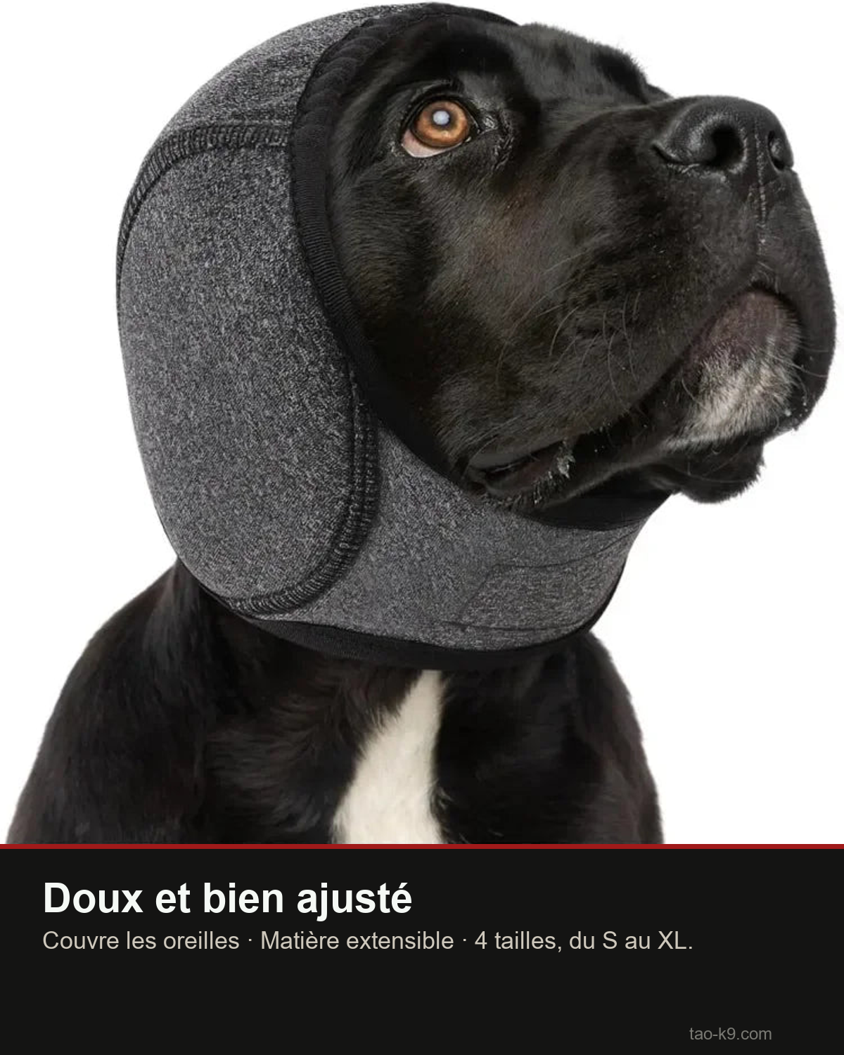 Cache-oreilles chien doux et ajusté, extensible, du S au XL