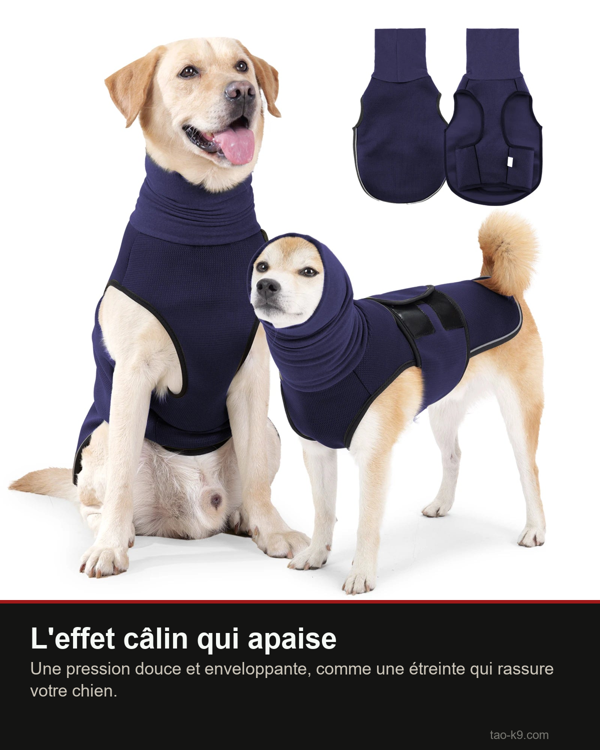 L'effet câlin apaisant de la veste anti-anxiété pour chien