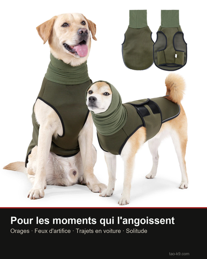 Veste anti-anxiété : orages, feux d'artifice, trajets, solitude