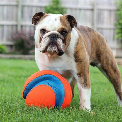 Ballon Chuckit - Le must des ballons pour chien - Tao-K9