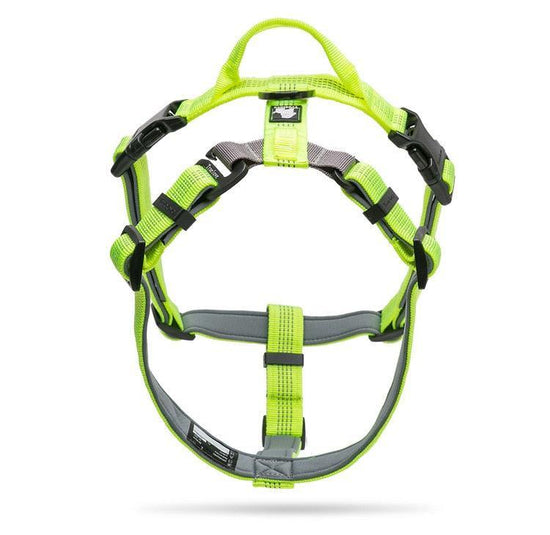 Harnais léger CAMP Empire 2 points d'ancrage - Protection anti chutes