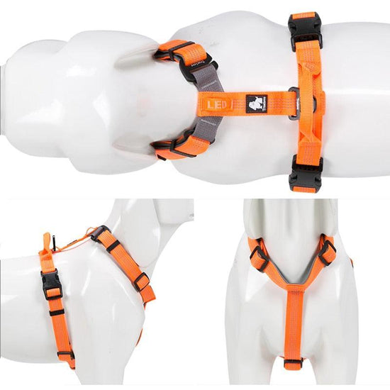 Harnais ultra-léger et modulaire PETZL Fly pour alpinisme technique et