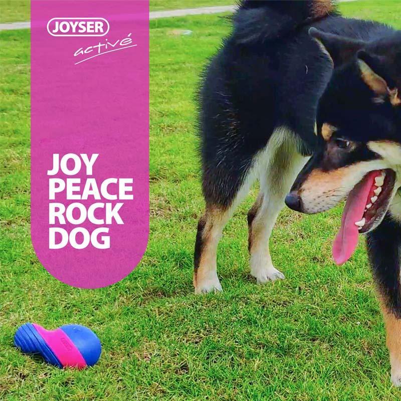 Joyser - Jouet à mâcher pour chiens - Tao-K9