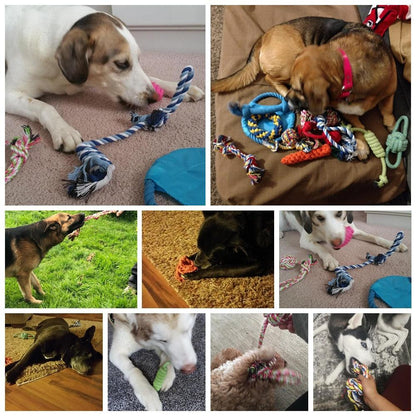 Lot de 12 jouets en cordes - Tao-K9
