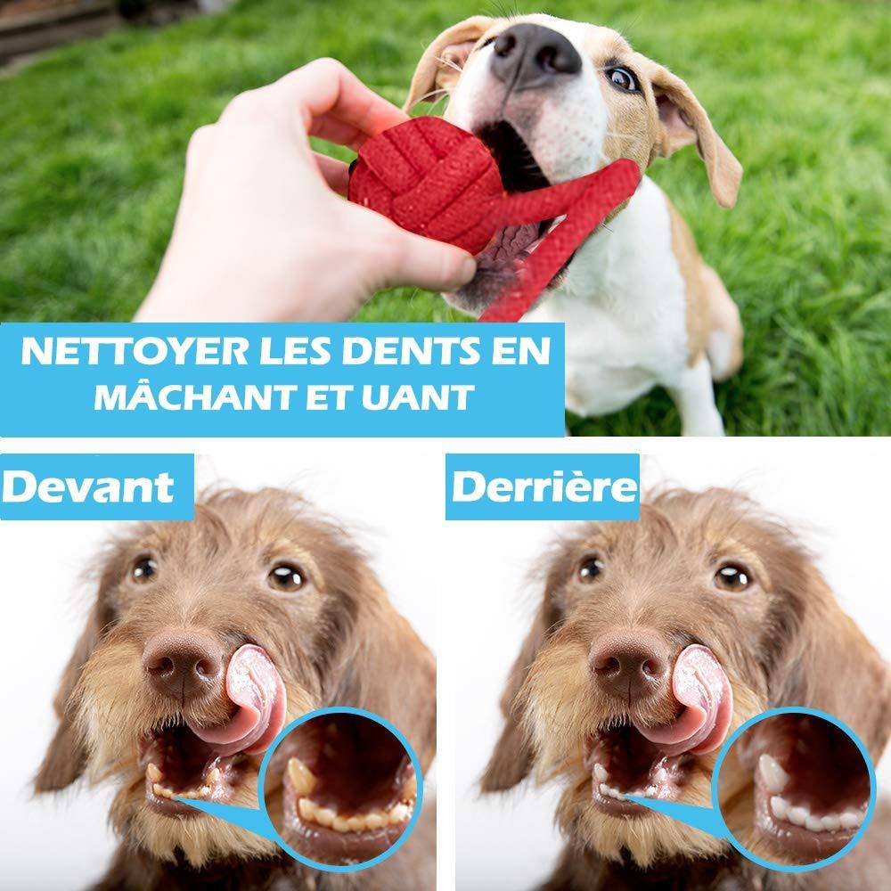 Lot de 12 jouets en cordes - Tao-K9