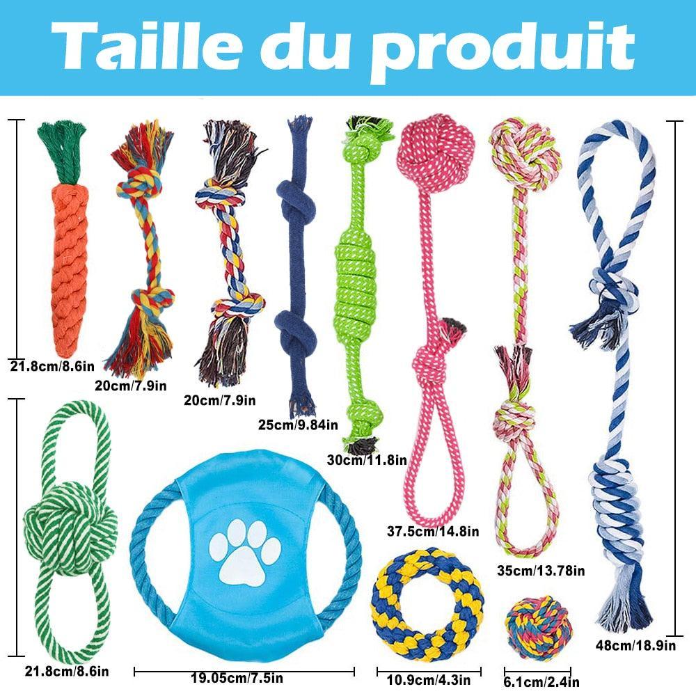 Lot de 12 jouets en cordes - Tao-K9