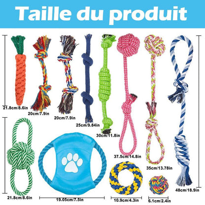 Lot de 12 jouets en cordes - Tao-K9