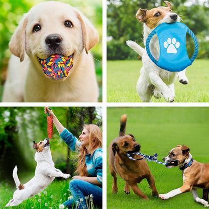 Lot de 12 jouets en cordes - Tao-K9